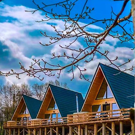 Cabana 365 ブラショフ エクステリア 写真