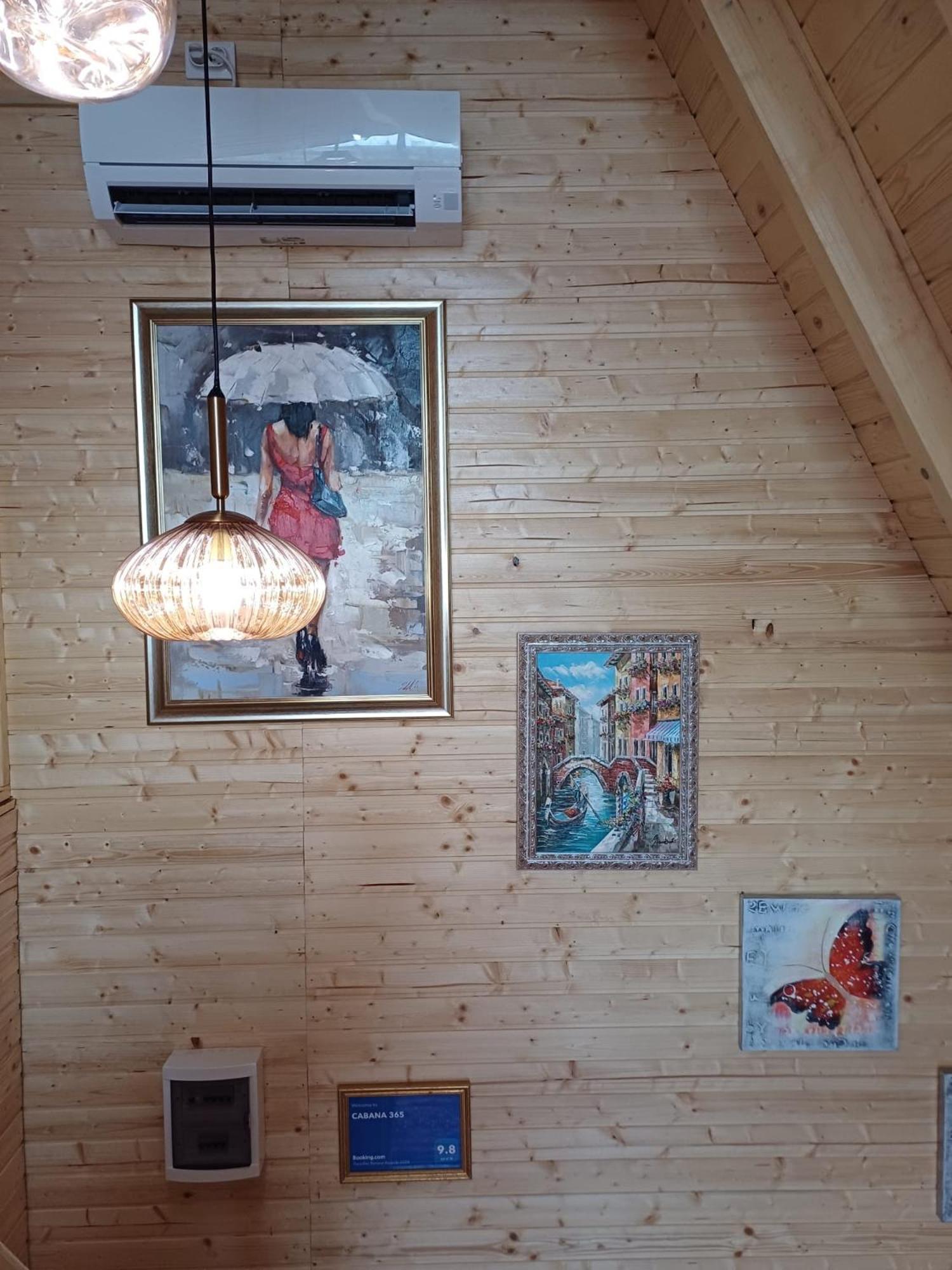 Cabana 365 ブラショフ エクステリア 写真