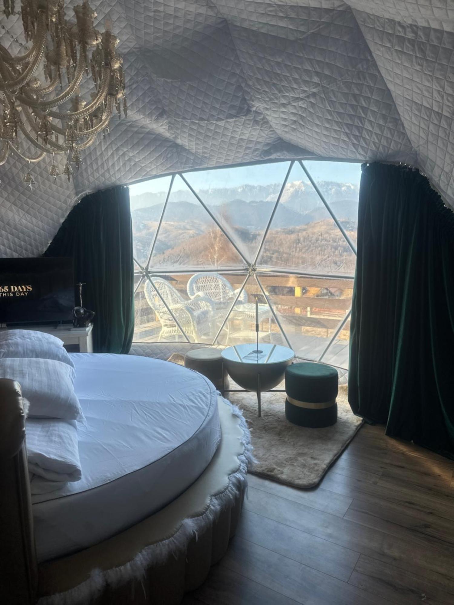 Cabana 365 ブラショフ エクステリア 写真